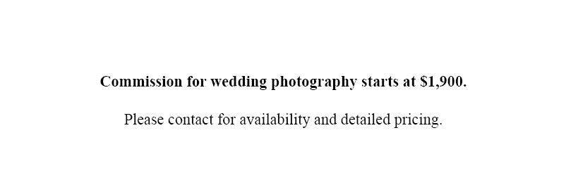 Tampa Wedding Photographer Pricing